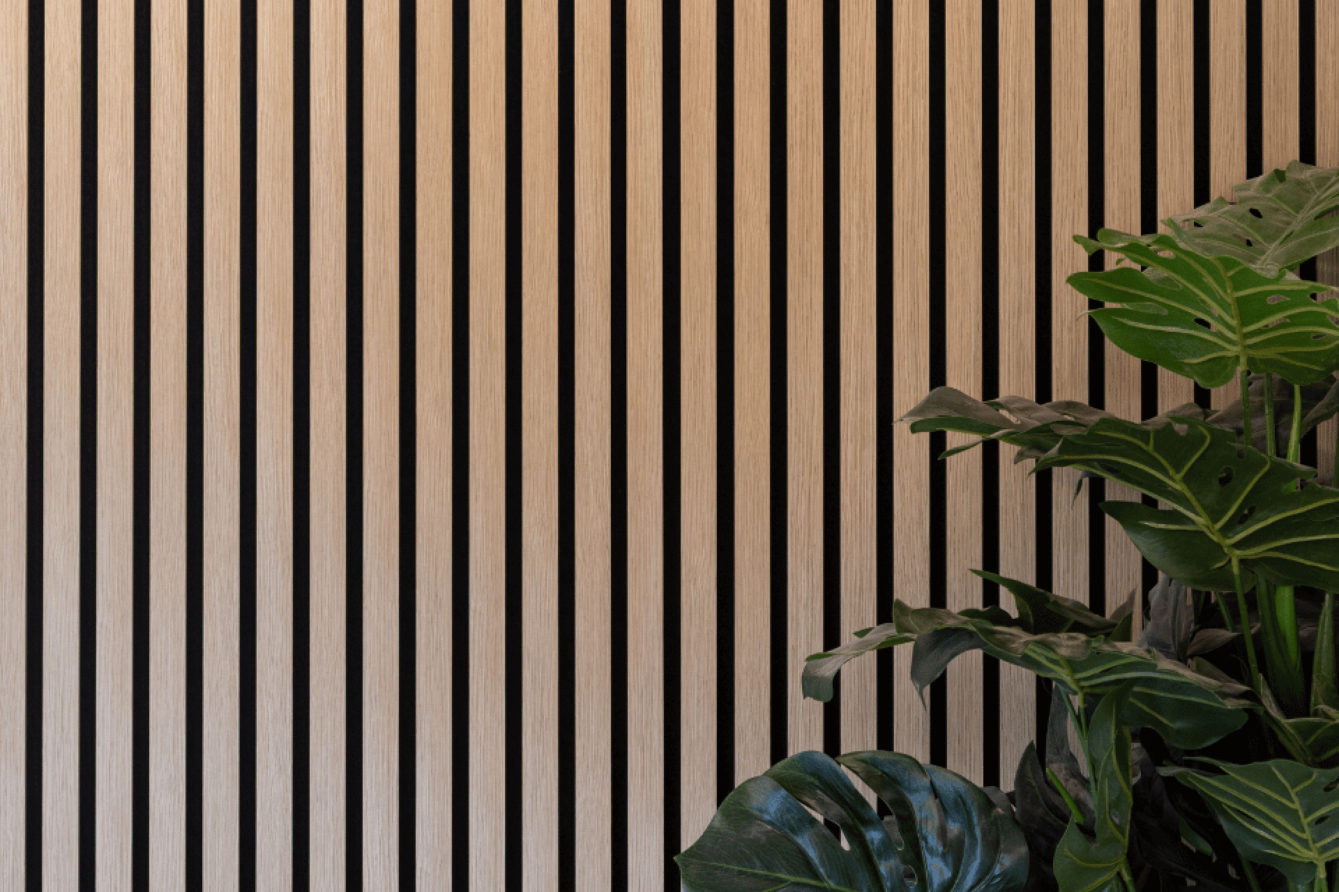 Acoustic wall panels in Ivory Oak